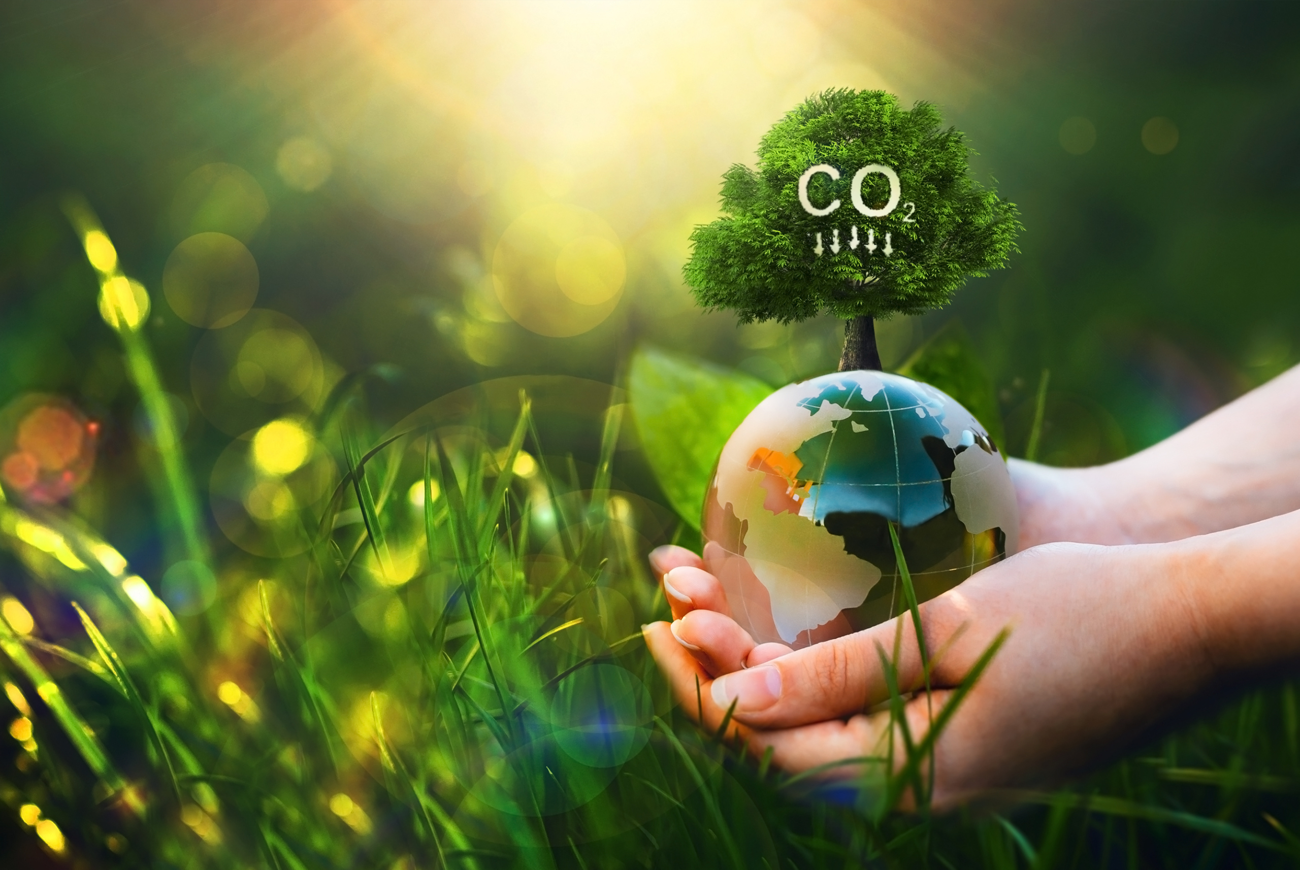 Carbon-Footprint